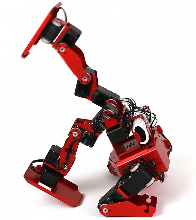 HOVIS Fighter高階機器人DST Robot 產品介紹